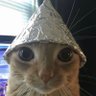 Profilbild von アルねこ