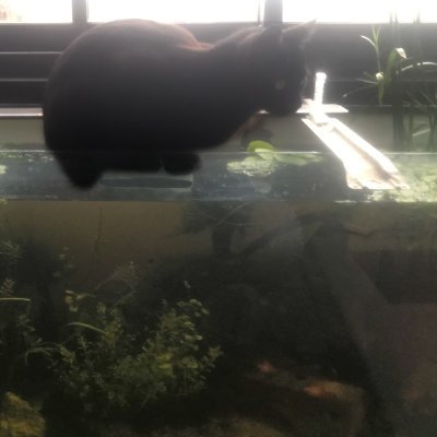 ptiyo38's profile picture