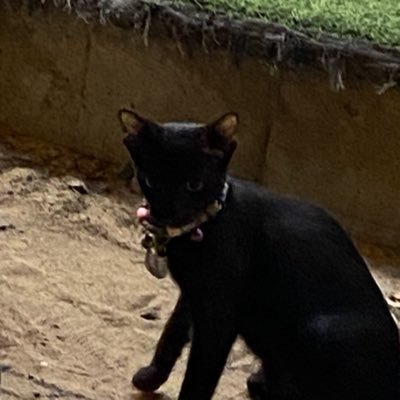 cile's profile picture