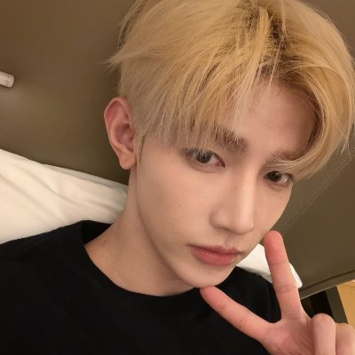 binneuls's profile picture