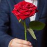 الناقد's profile picture