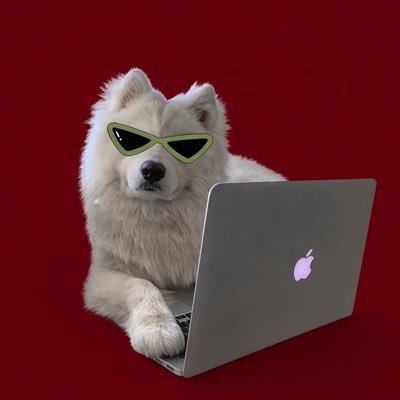 krysxpp's profile picture