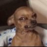 Profilbild von Black charts