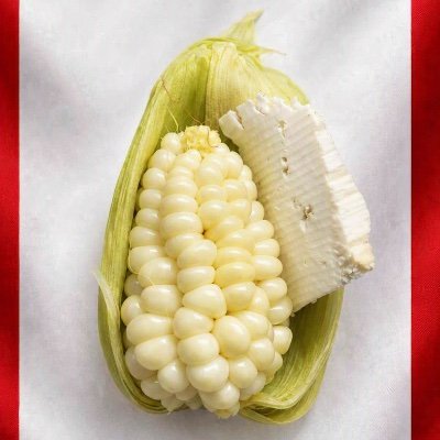 yinxelh's profile picture