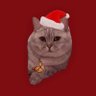 Profilbild von Olaf