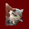 universe LLLL⁰³²⁷ profil fotoğrafı