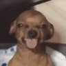 Profilbild von Johny Stuart