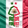 Nottingham Forest MX's profile picture