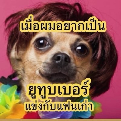 Kaewu2tv's profile picture