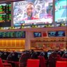 vegaspicks.com's profile picture