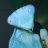 MRIS profil fotoğrafı