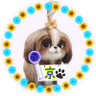 Profilbild von 🐶けー🐾