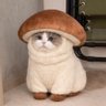 Novia's profile picture