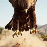 عبدلرحمن السليماني profil fotoğrafı