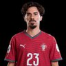 Vítor Machado Ferreira' 的头像