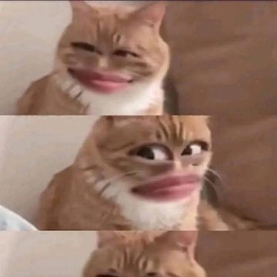 1234's profile picture