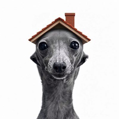 tvylxr9's profile picture
