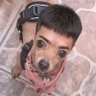 Profilbild von aeropalio para meu folio