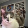 mynamejeff.haha's profile picture