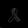 TOL's profile picture