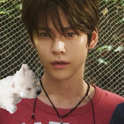☁️🐈's profile picture