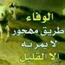 Profilbild von اصيل ااا