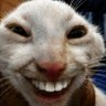 Profilbild von ^_^