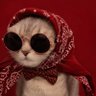 mookie's profile picture