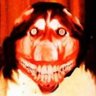 seu futuro ex namorado's profile picture