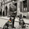 Muharrem's profile picture