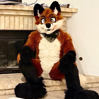🦊 𝙇𝙪𝙞𝙨 𝙁𝙤𝙭 ⚾️'s profile picture