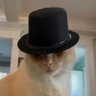 Jazz cat🎷's profile picture