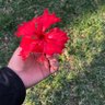 رَغد🌻's profile picture