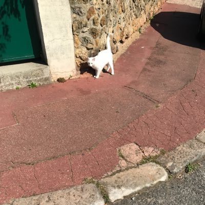 NDIAAXUUM's profile picture