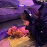 🐾🇹🇷's profile picture