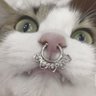 Profilbild von vic