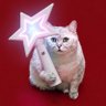 Profilbild von MARCK .KC
