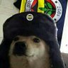Profilbild von fenerlikopke