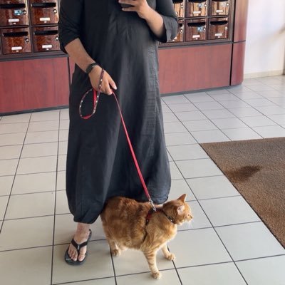 𝕆𝕝𝕕 𝓓. 𝕊𝕟𝕒𝕜𝕖 🇫🇷🇹🇳 🤲🏼 🇵🇸🇨🇩🕊️'s profile picture
