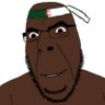 shitskin sandnigger 67 的头像