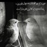 منوچهر 的头像