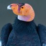 Comrade_Condor's profile picture