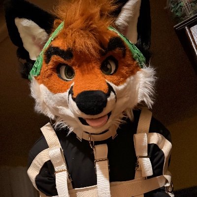 Otsoko_fox's profile picture