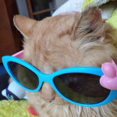Laura 🩵's profile picture