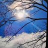 Profilbild von Clearskymnlight