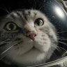 BEILUS's profile picture