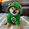 Dog Btc's profile picture