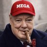 Make England Great Again's profile picture