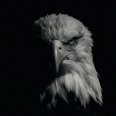 iAbo3tab's profile picture