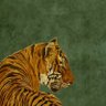 Profilbild von Sreshthi
